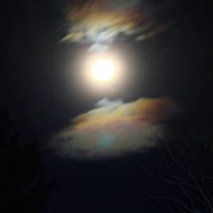 Meet your Posher, Kathleen